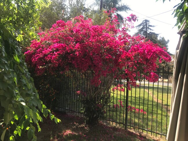 Building Photo - 5888 Grand Ave