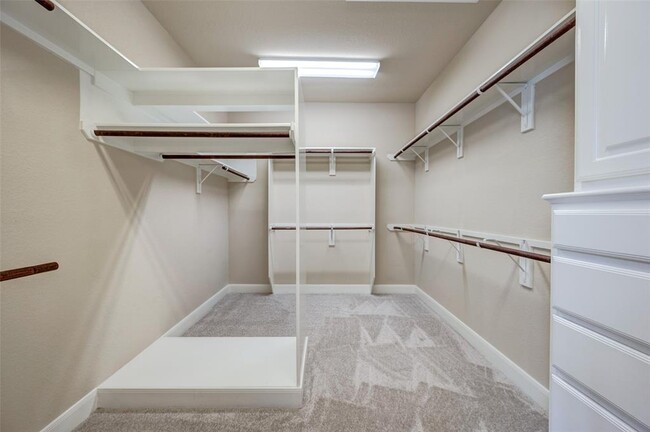 Building Photo - 10411 Winding Green Dr
