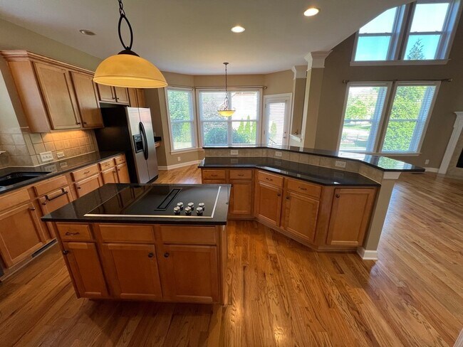 Building Photo - 337 Shadow Creek Dr