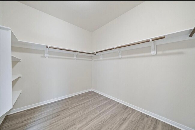 Building Photo - 5711 Water Violet Ln