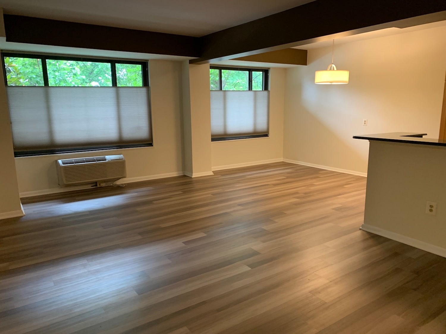 Living/Dining - 3601 Wisconsin Ave NW