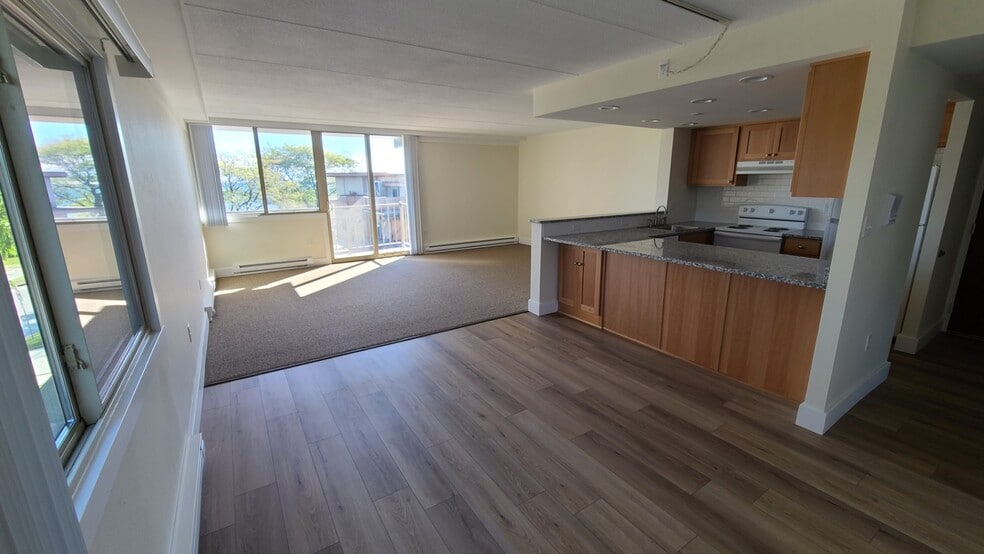 Primary Photo - Wynswept