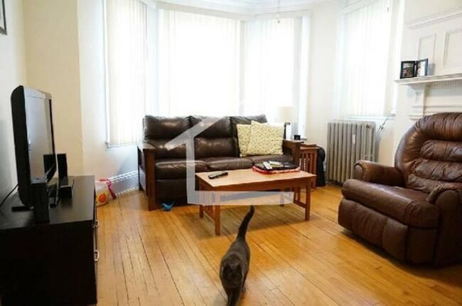 Primary Photo - 2-BED Allston pet friendly