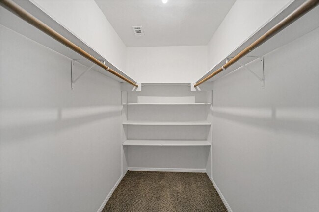 Building Photo - 1111 Manatee Ln