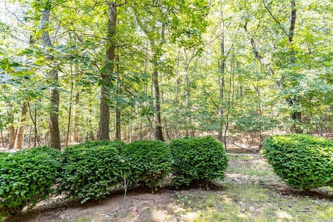 Building Photo - 3 Bedroom Home in Massanutten!!!