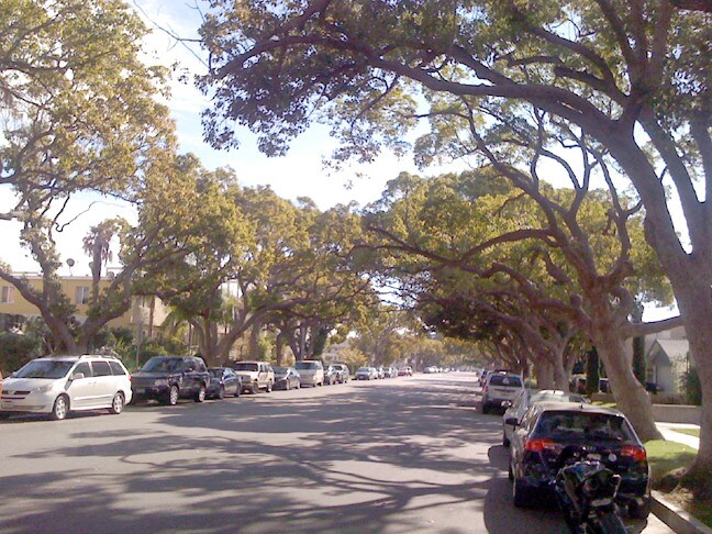 Building Photo - 1313 18th St