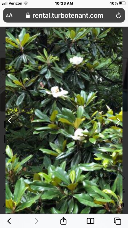 Building Photo - 4924 Stillwood Dr