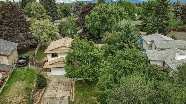 Building Photo - Spacious 3-Bed Home in Hayden with Large Y...