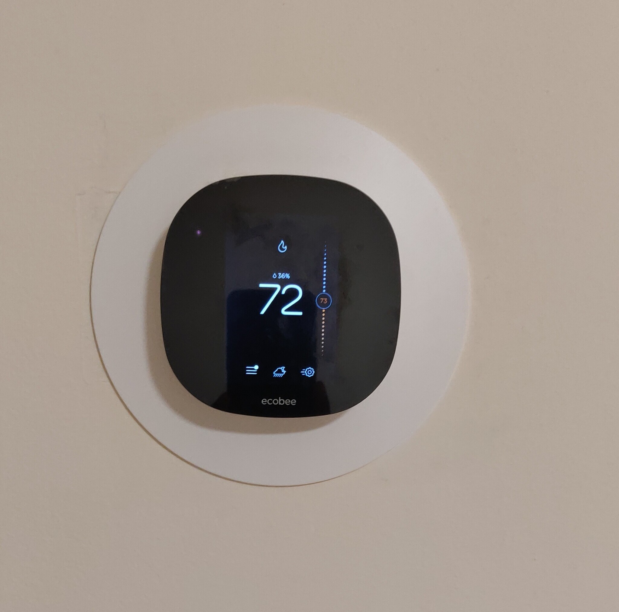 Building Photo - 4271 Cloudberry Ct