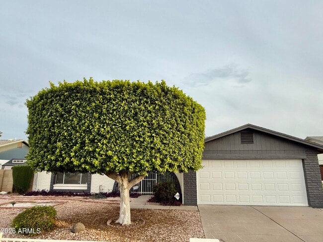 Building Photo - 5817 W Tierra Buena Ln