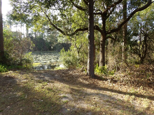 Building Photo - WATERFRONT HOME ON LAKE ANGELA - AVAILABLE...