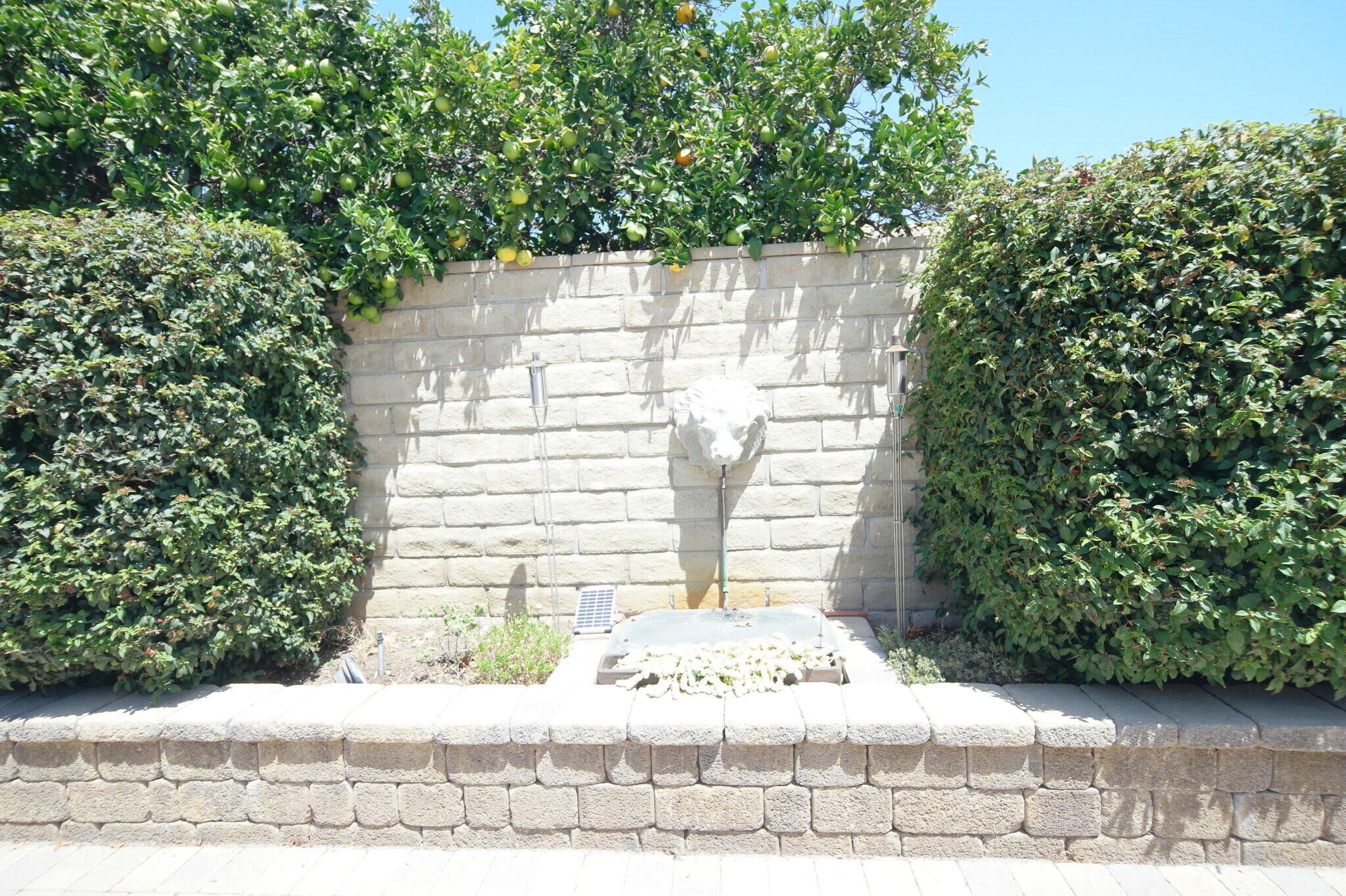 Building Photo - 2431 Deerfield Ct