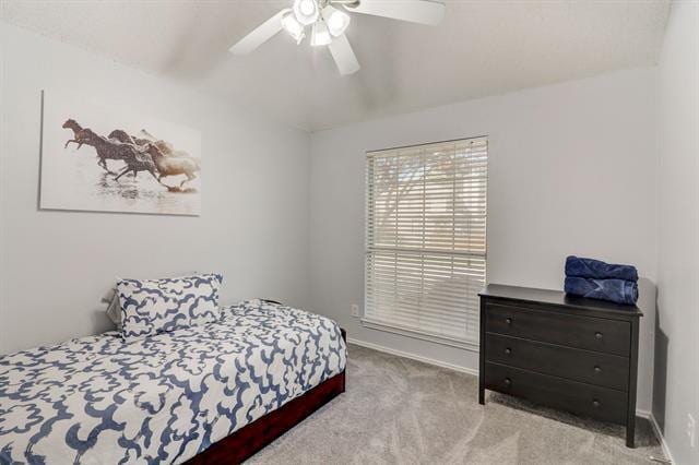 Building Photo - 6302 Mt Vernon Dr