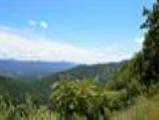 Building Photo - 141 Player Ct