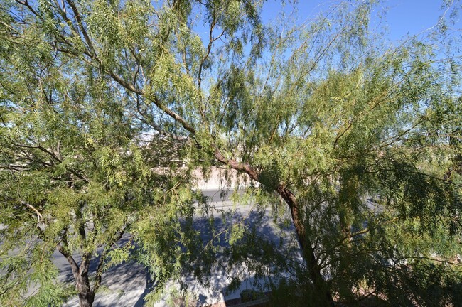 Building Photo - 2nd Floor Condo in a Gated Northeast Commu...