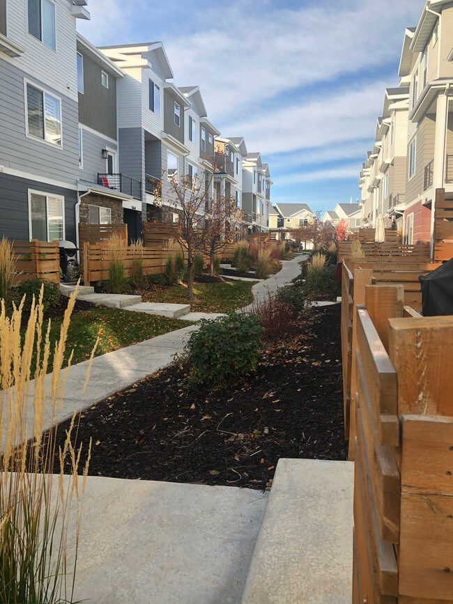 Court-yard view in front of Townhome - 3657 W Sunrise Sky Ln