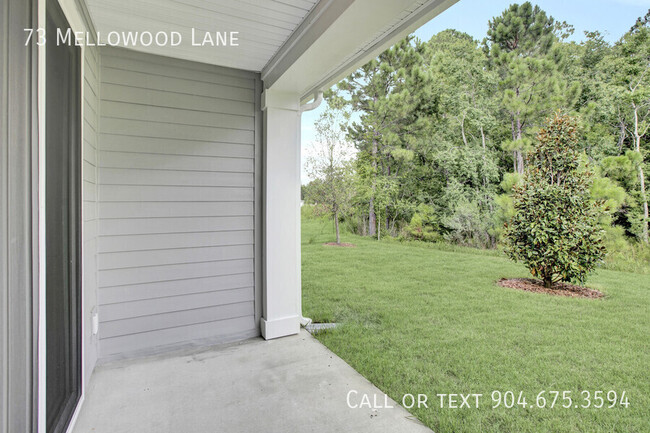 Building Photo - Brand New Brandon Lakes Townhome