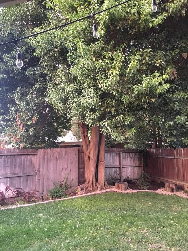 Building Photo - Super cute 2/2 (COMPLETELY UPGRADED)!!  Please read entire ad for showings!