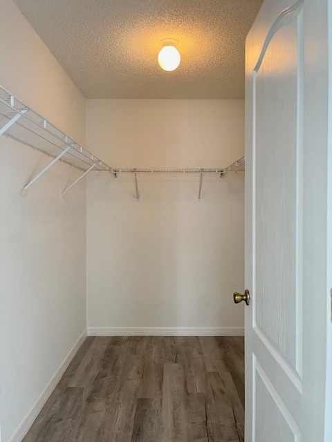 Building Photo - 203 Heronwood Cir