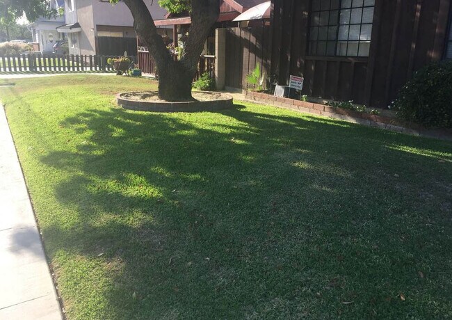 Front Yard - 5271 Bishop St