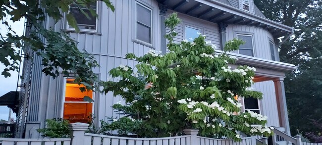 Unit 1 Elevation - 388 Arborway