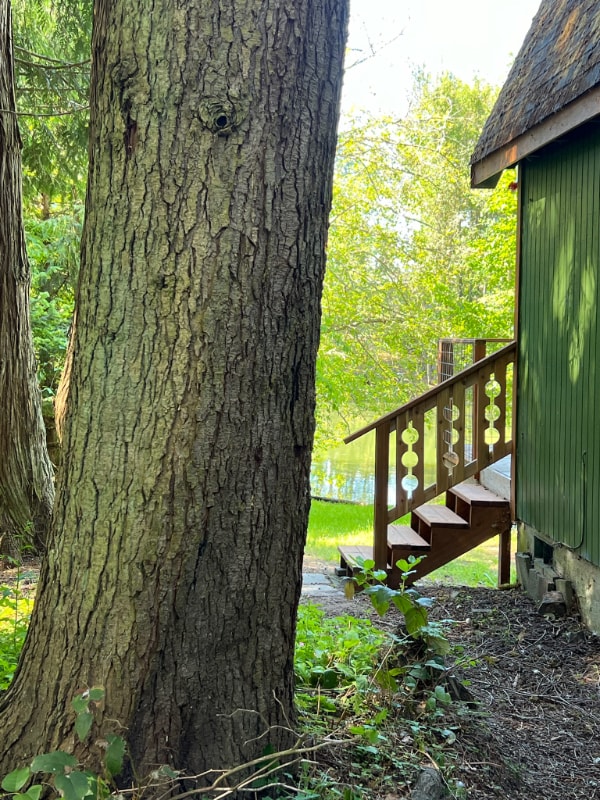 Building Photo - 160 S Solmar Dr