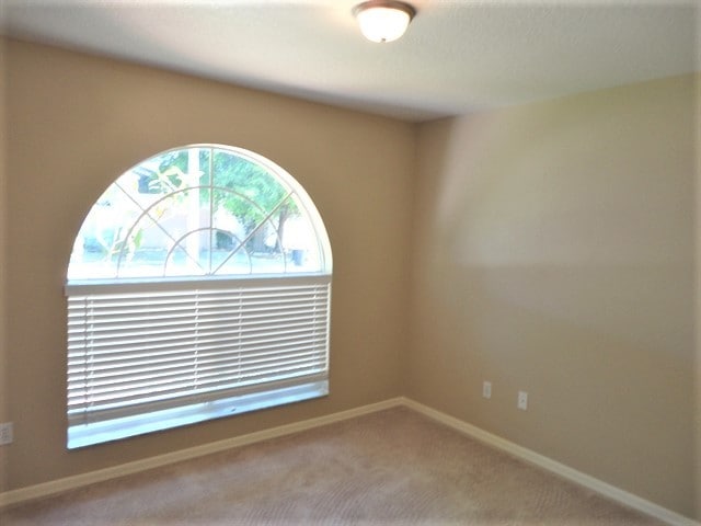 Building Photo - 522 Beth Ann St