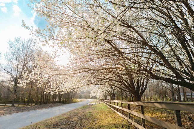 Building Photo - 565 Schaeffer Loop