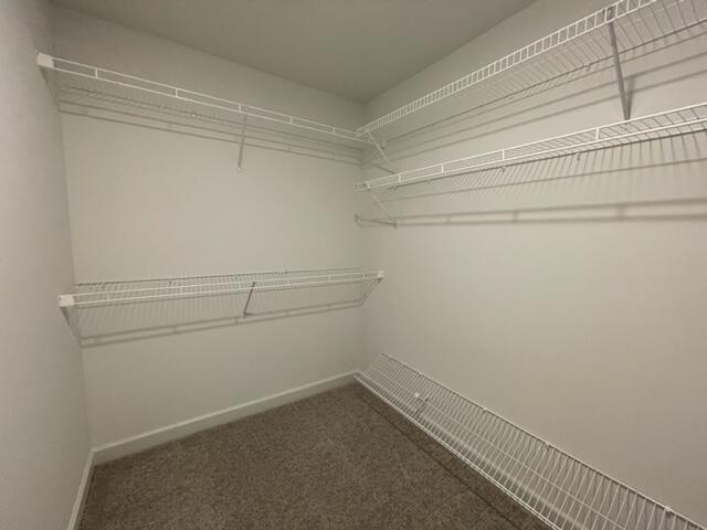 Building Photo - 3043 Stanhope Dr