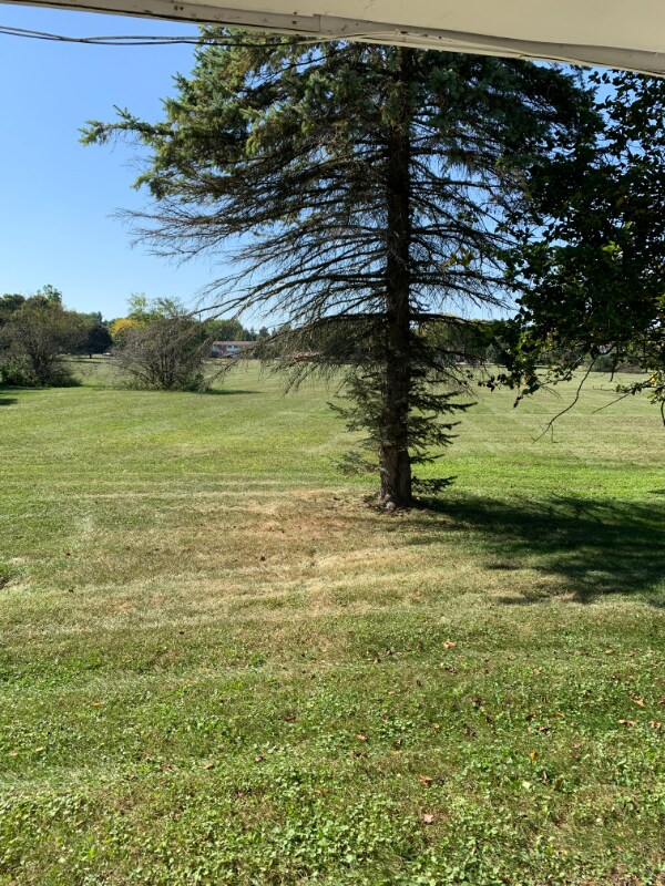 Building Photo - 1017 Hein Ave