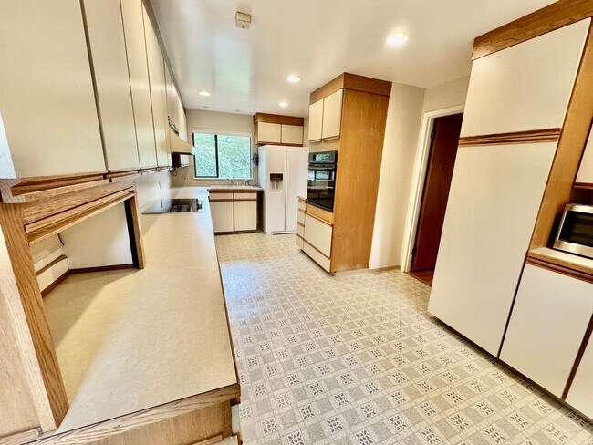 Building Photo - Large Mid-Century Home in Magnolia!