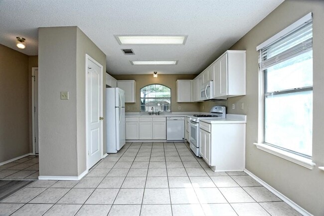 Building Photo - 15009 Big Falls Dr