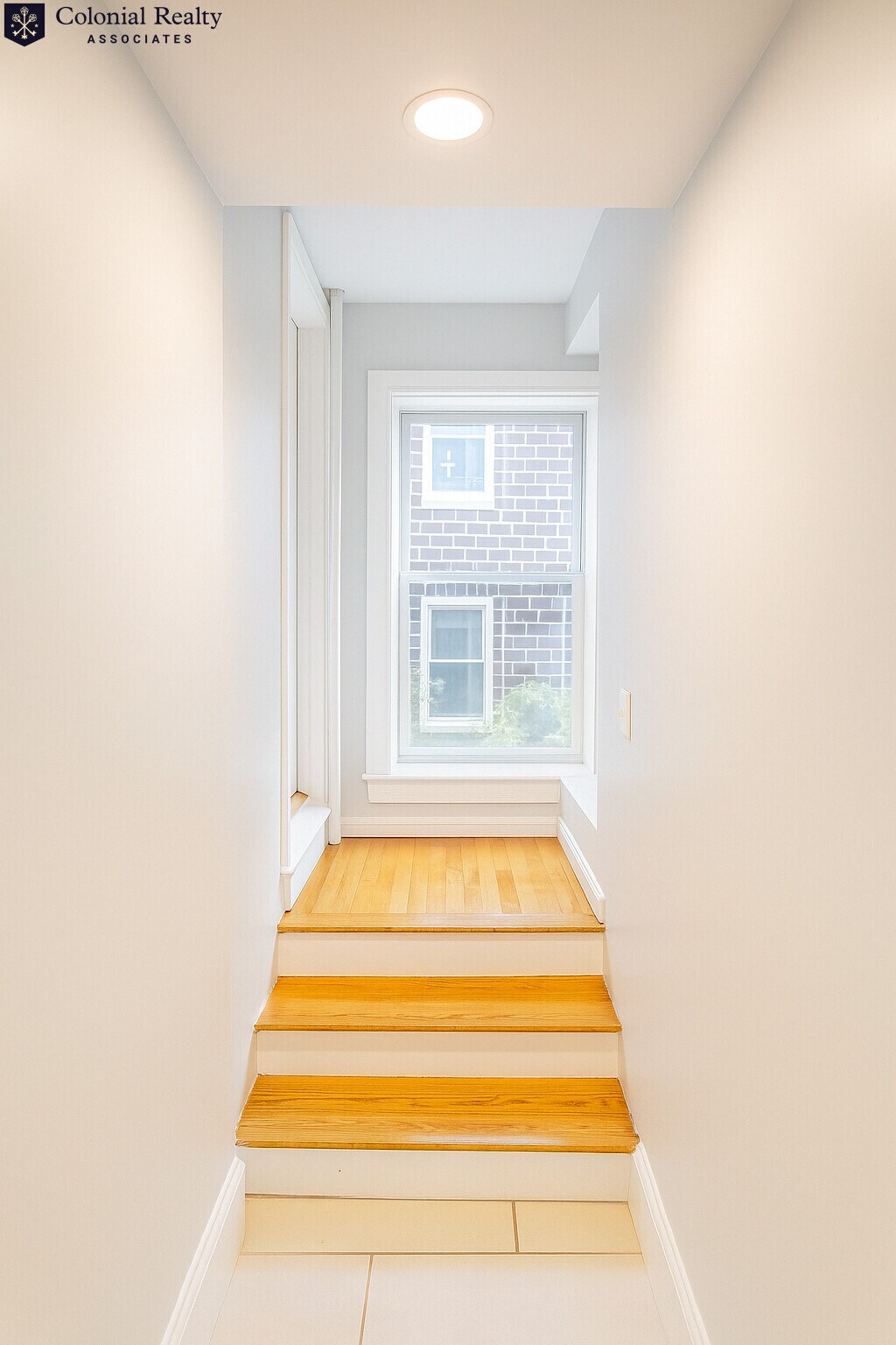 Building Photo - 68 Egmont St