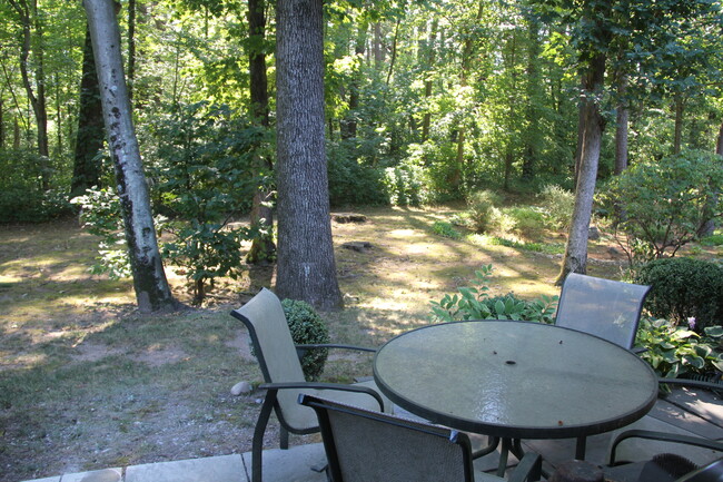 backyard patio - 45 Tunxis Vlg