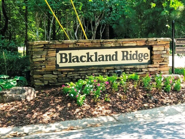 Building Photo - 4297 Blackland Way