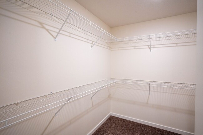 Building Photo - Beautiful newer 3 bed home with 3 car garage
