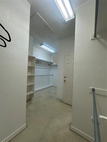 Building Photo - 715 Wheaton Ct