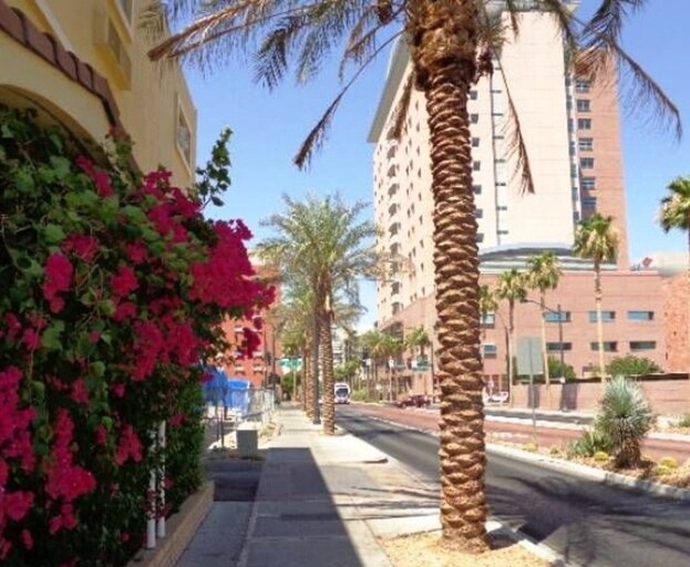 520 S Casino Center Blvd 520 S Casino Center Blvd Las Vegas NV 89101