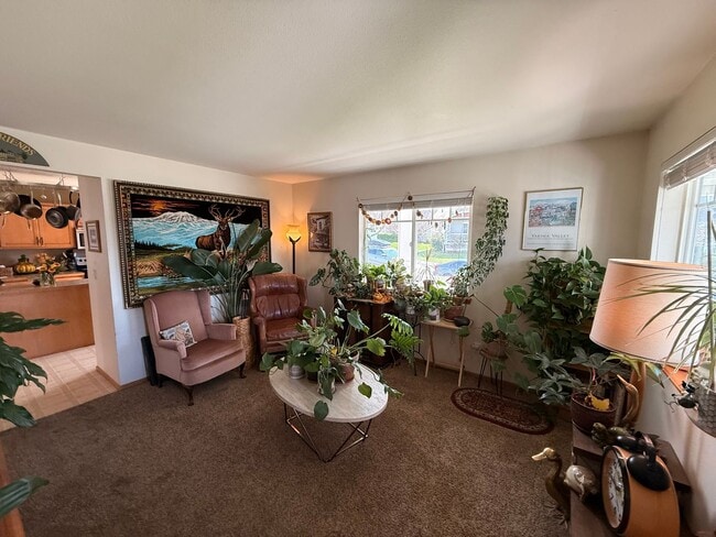 Building Photo - 4 bdrm/2.5 bath home in Barkley Area