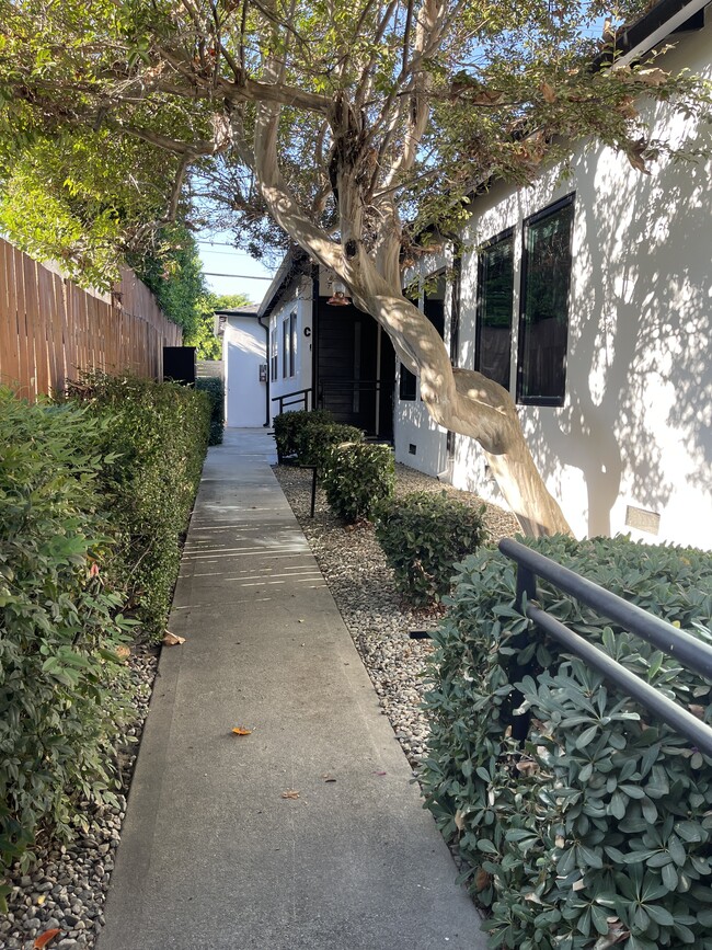 Front pathway leading to Unit - 3211 W Alameda Ave