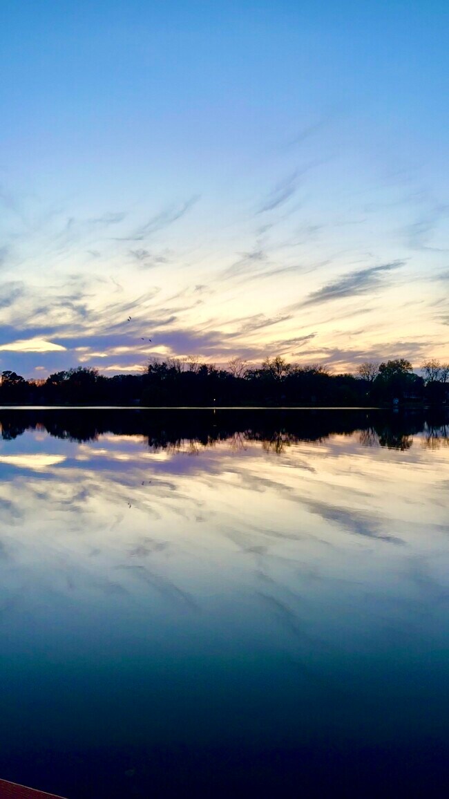 Building Photo - 8564 Lincoln St