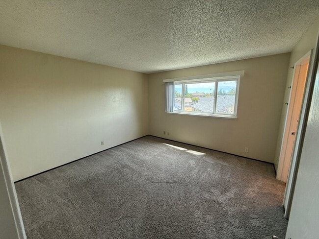 Building Photo - 1003 Blackspur Ct