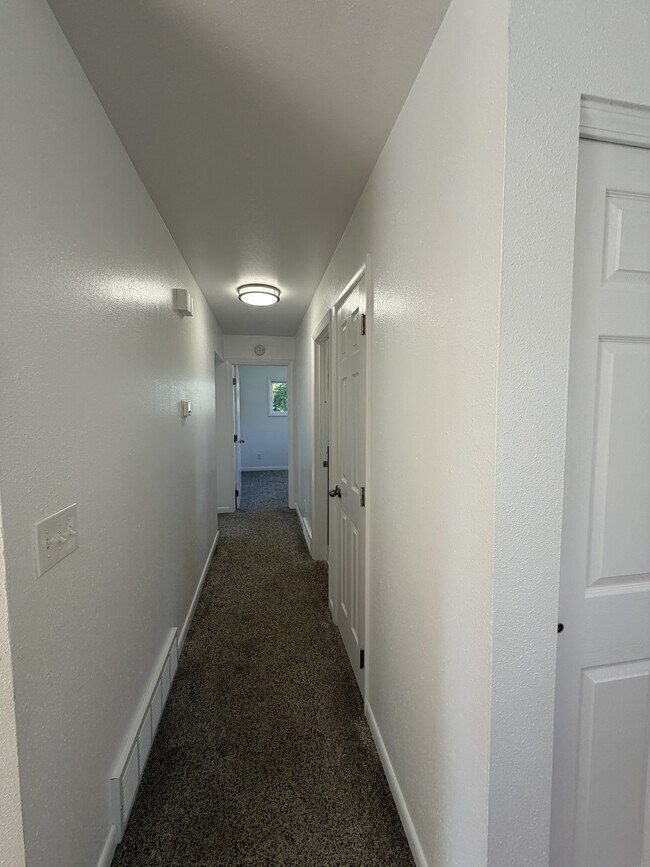 Building Photo - 2520 Lillis Ln