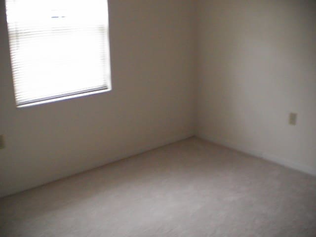 Building Photo - Beautiful 2x2 Downtown