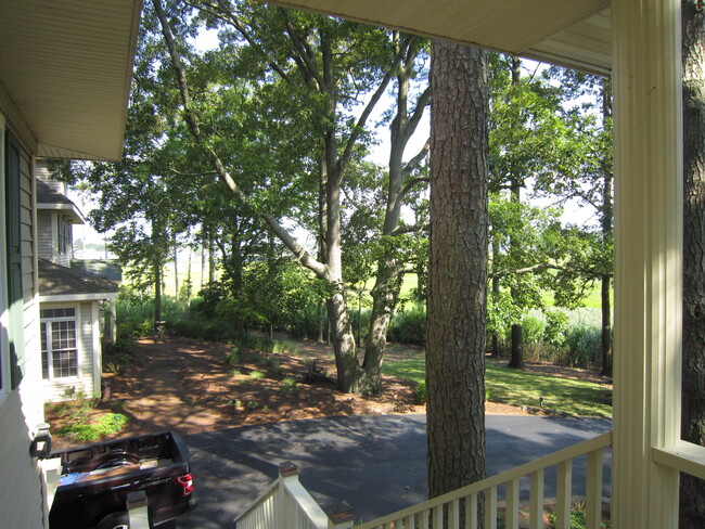 View from Front Porch - 21440 Bald Eagle Rd