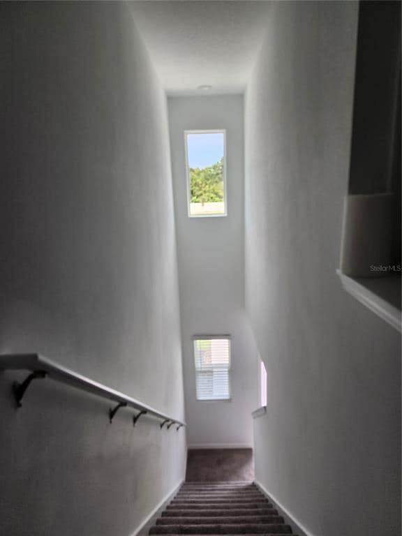 Building Photo - 4431 Rachel Fls Dr