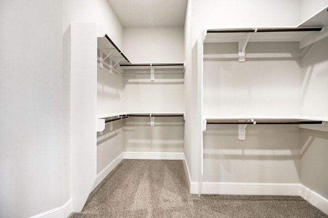 Building Photo - 2107 Partridgeberry Ln