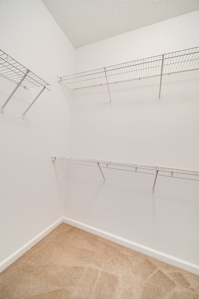 Building Photo - 107 Havenwood Ct