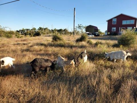 Building Photo - 143 Spring Hollow Trail