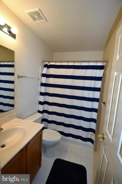Building Photo - 805 Thicket Ct